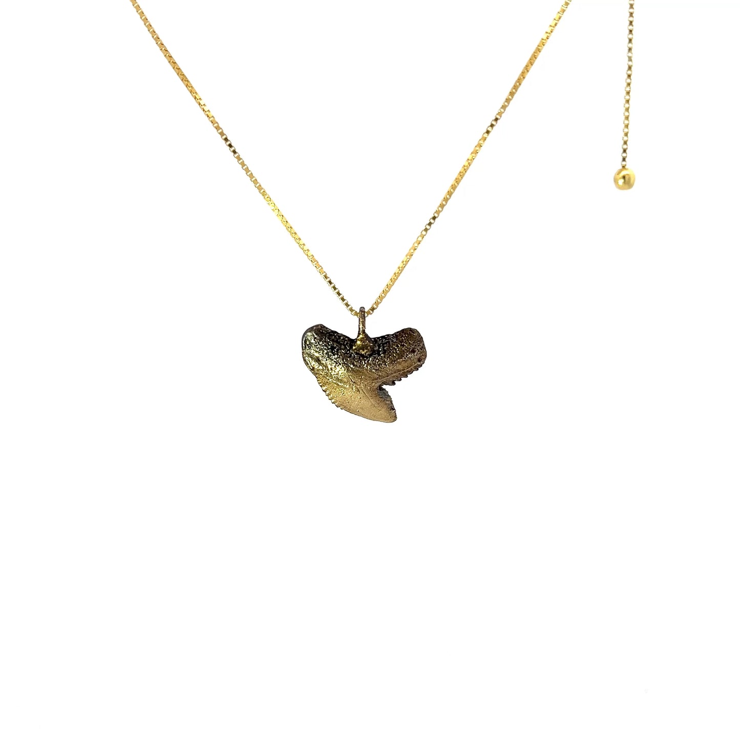 Shark Tooth Necklace