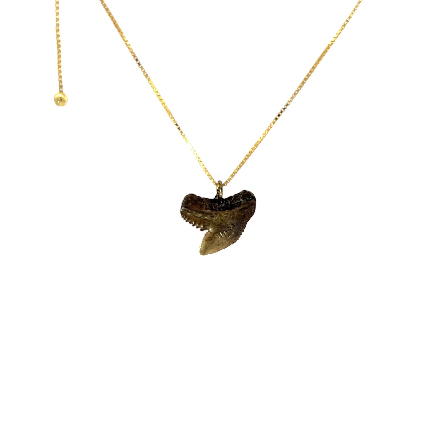 Shark Tooth Necklace
