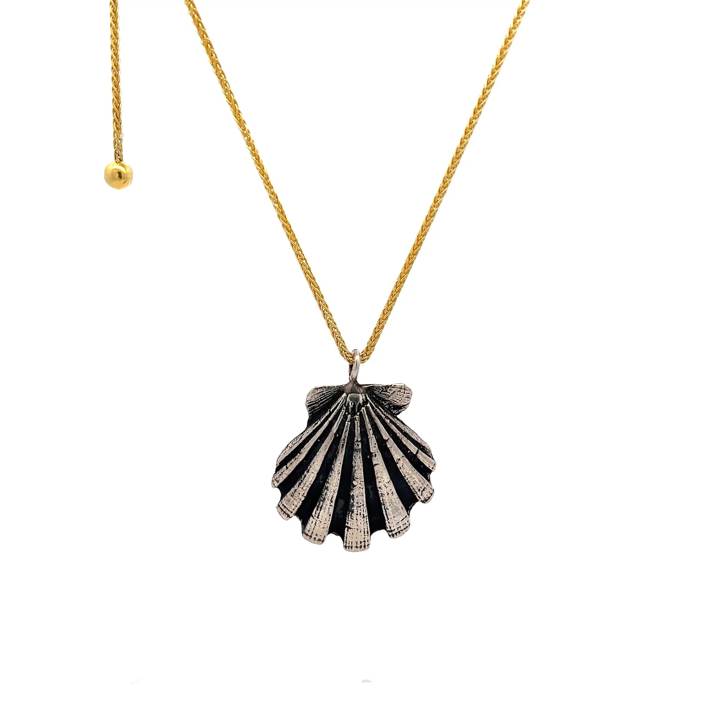 Pecten Shell Necklace