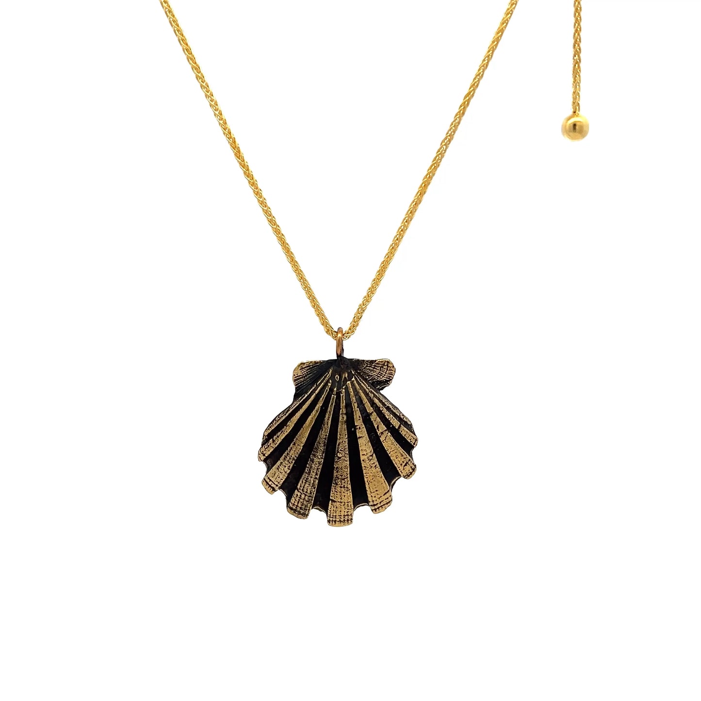 Pecten Shell Necklace