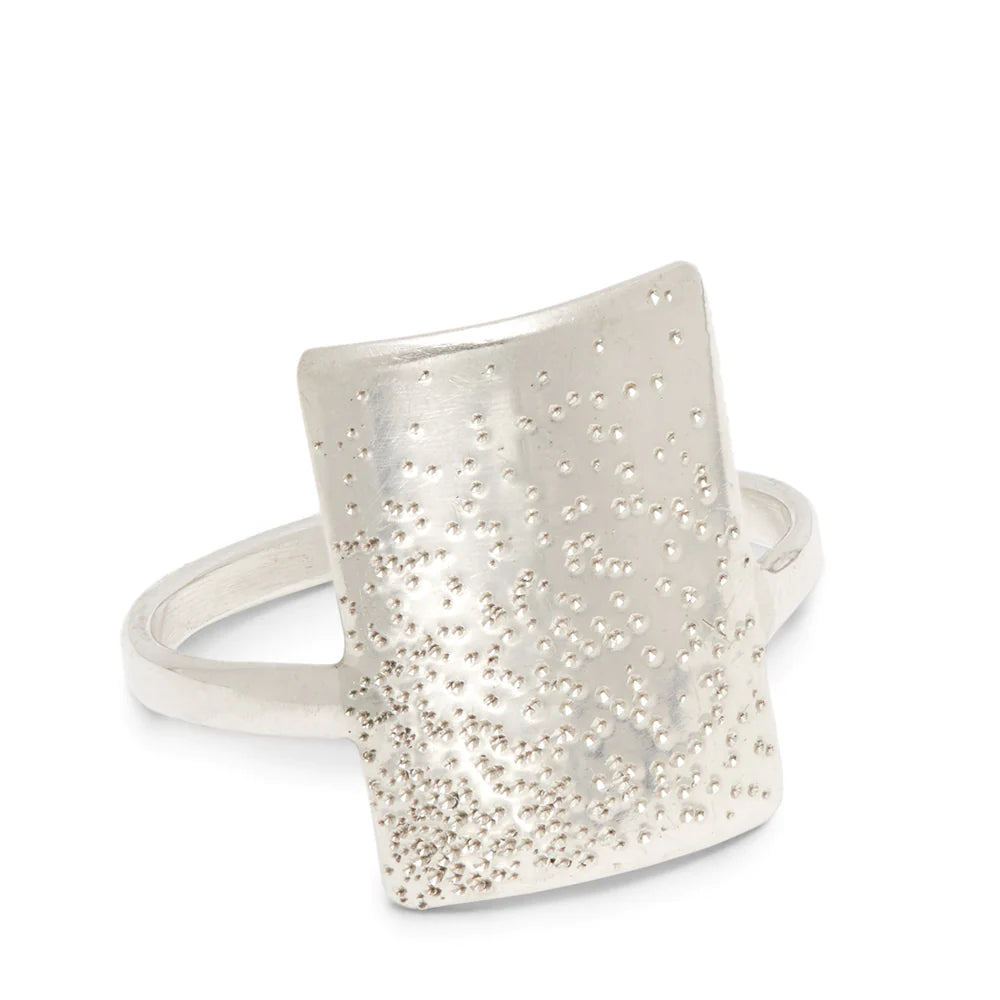 Diamond Dusted Everlong Ring