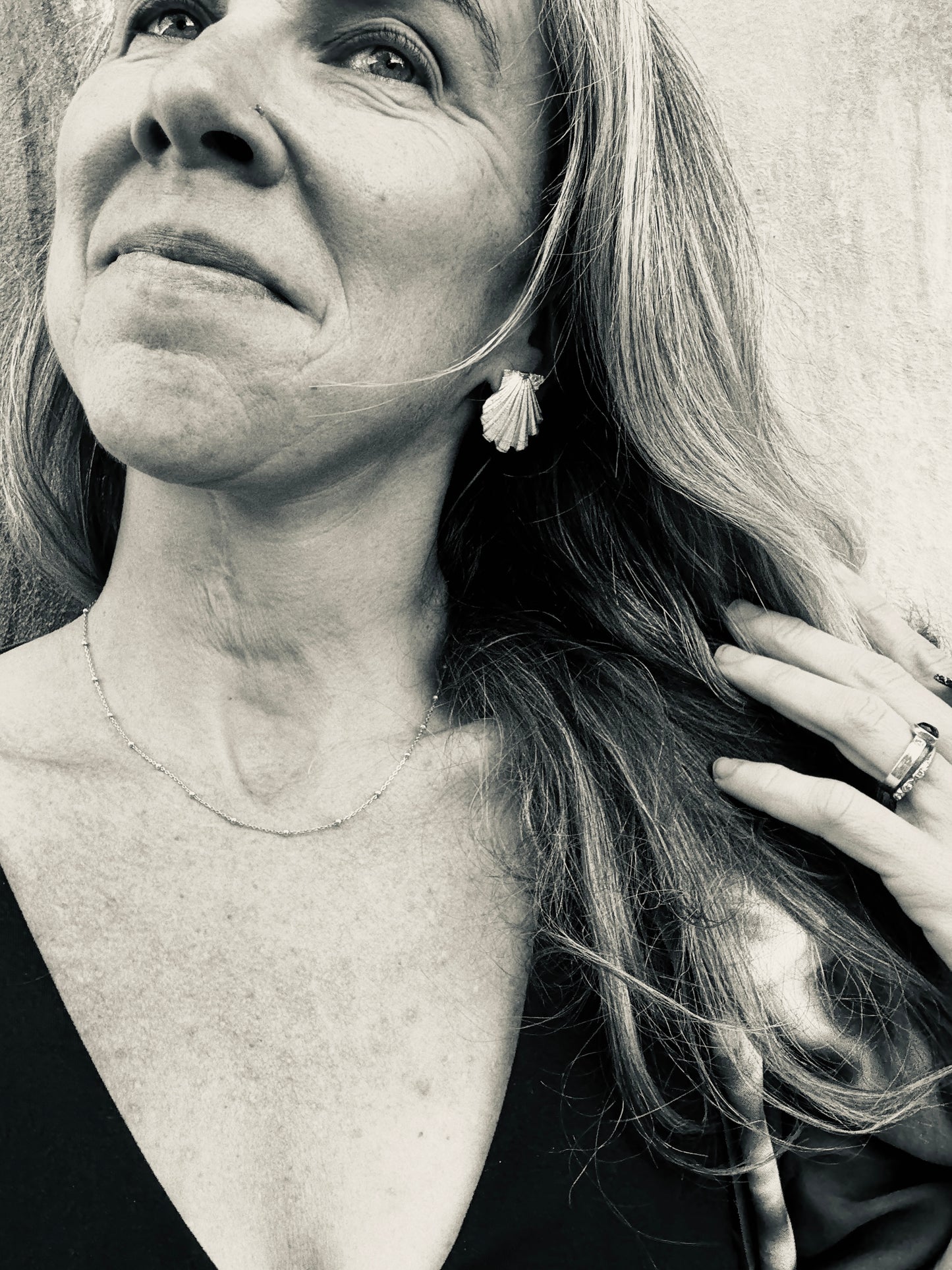 Pecten Shell Studs