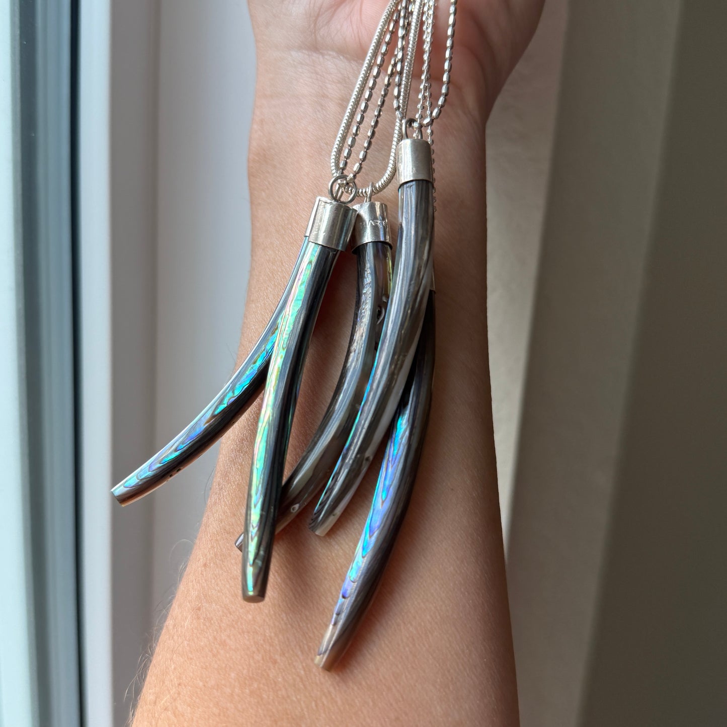 Abalone Tusks