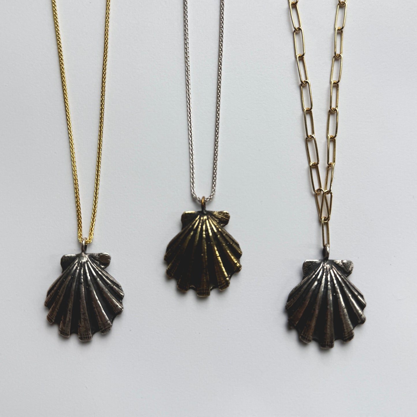Pecten Shell Necklace