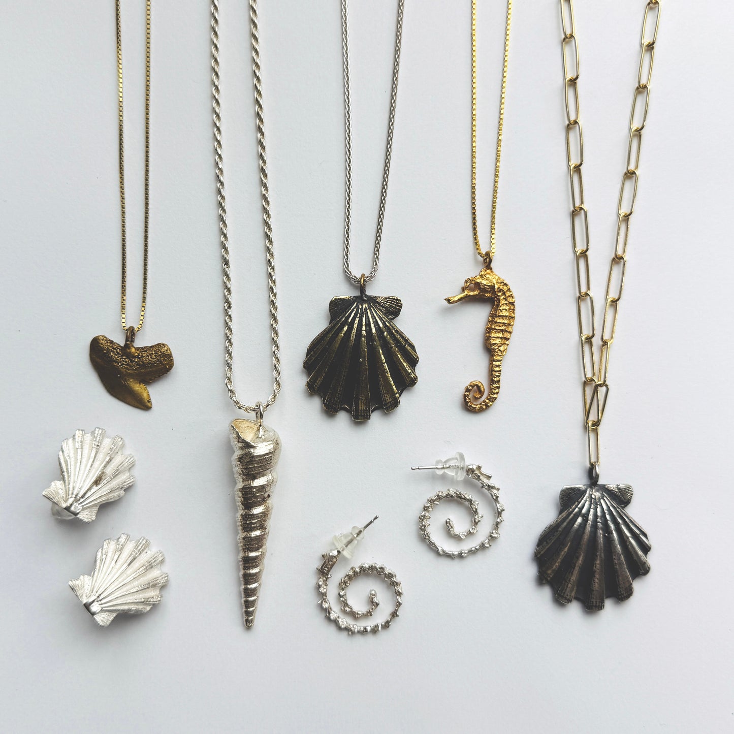 Pecten Shell Studs