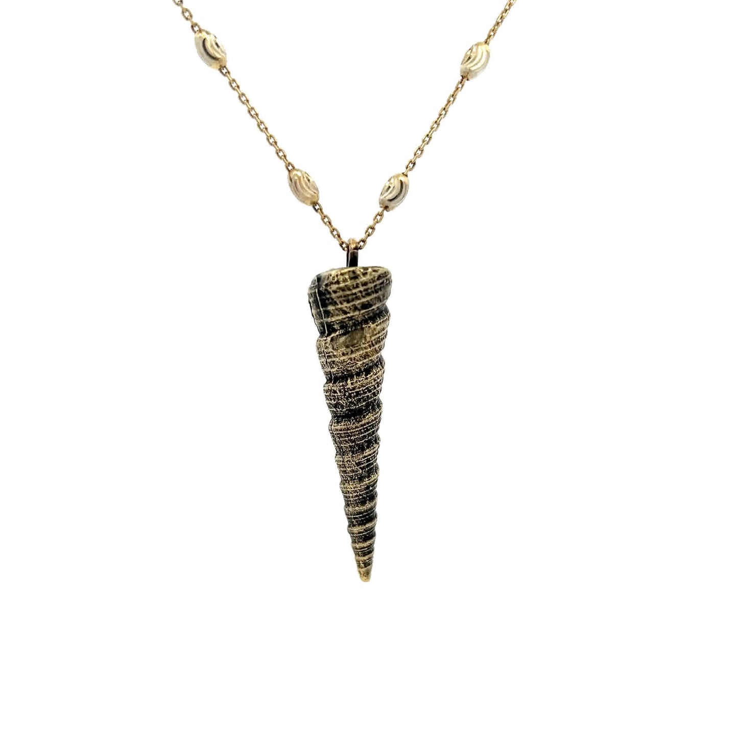 Spiral Shell Necklace
