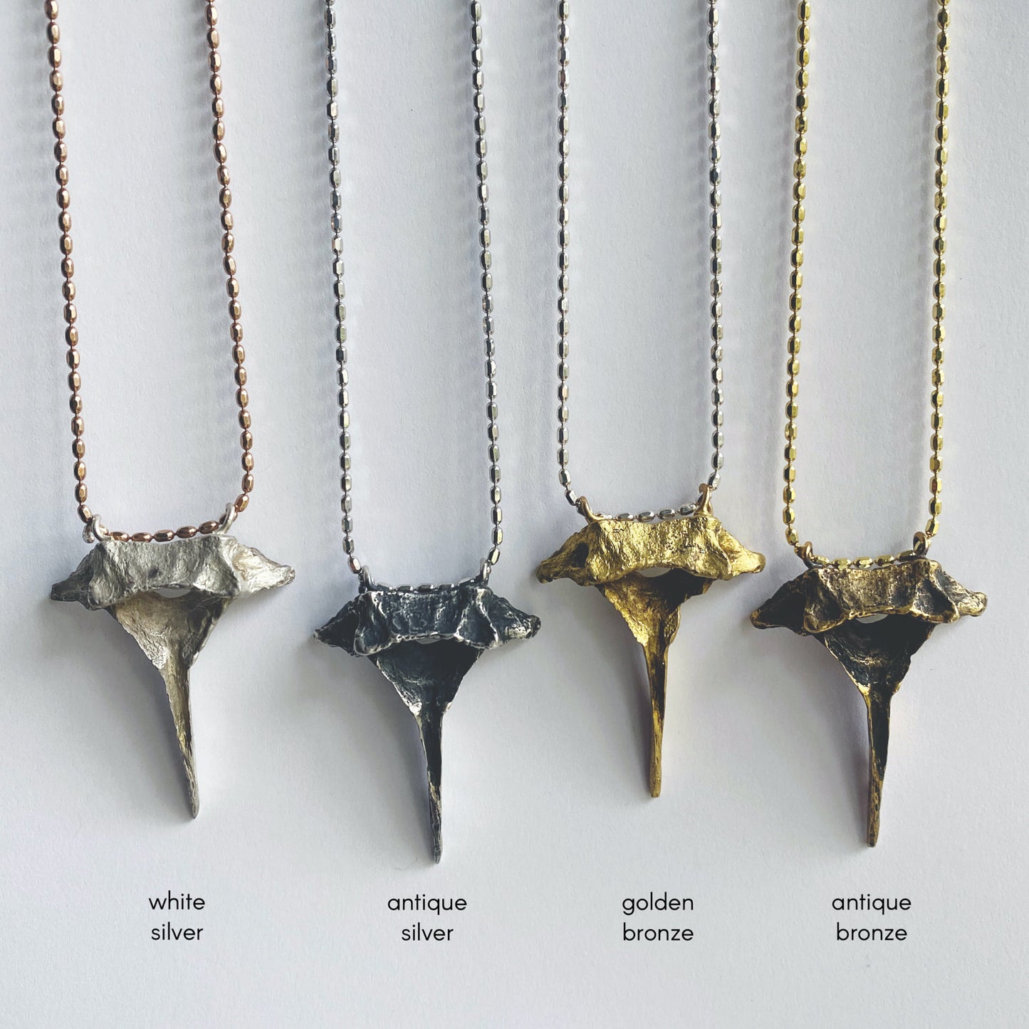 Pecten Shell Studs