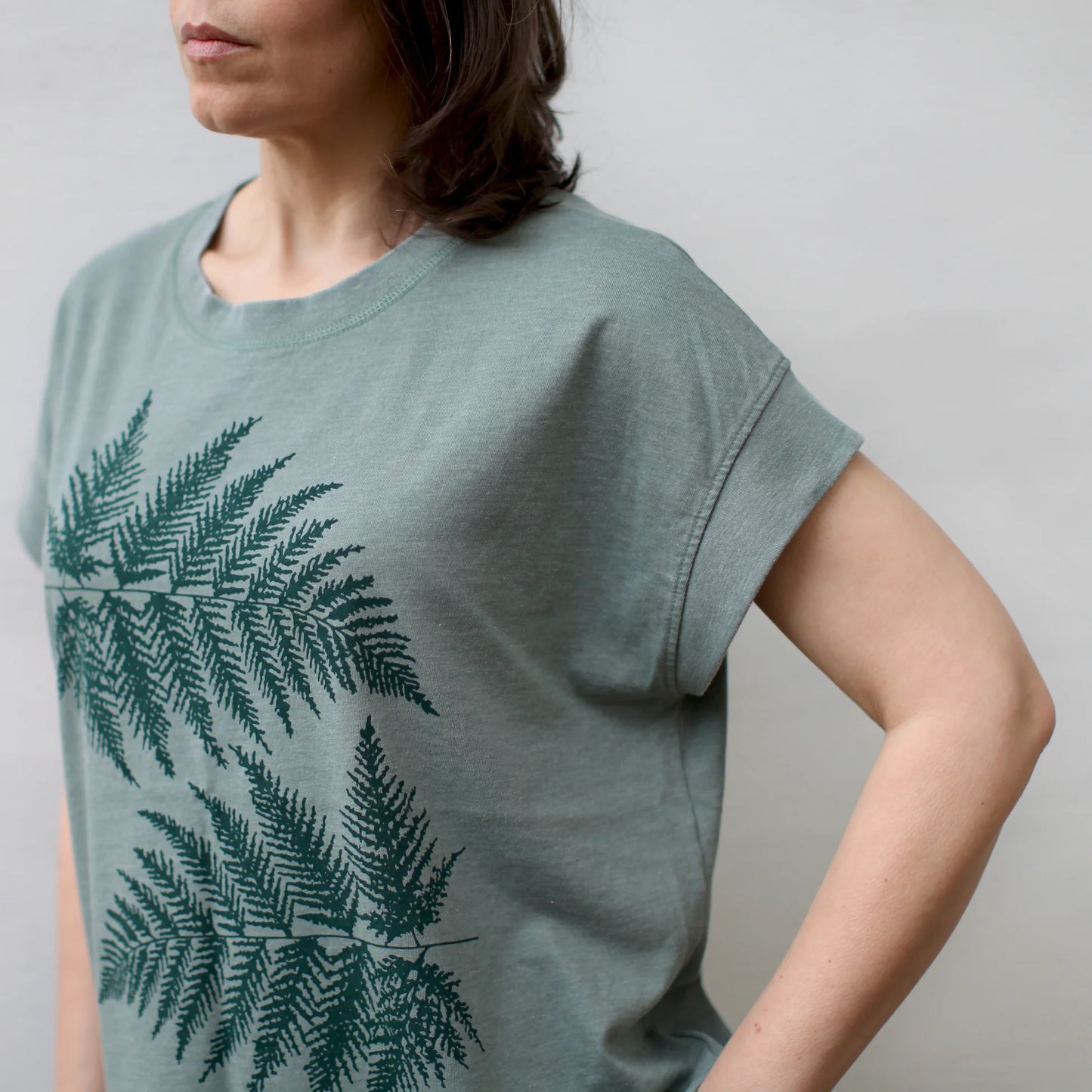 Ferns