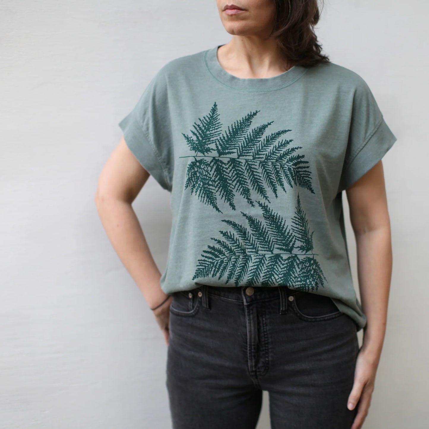 Ferns