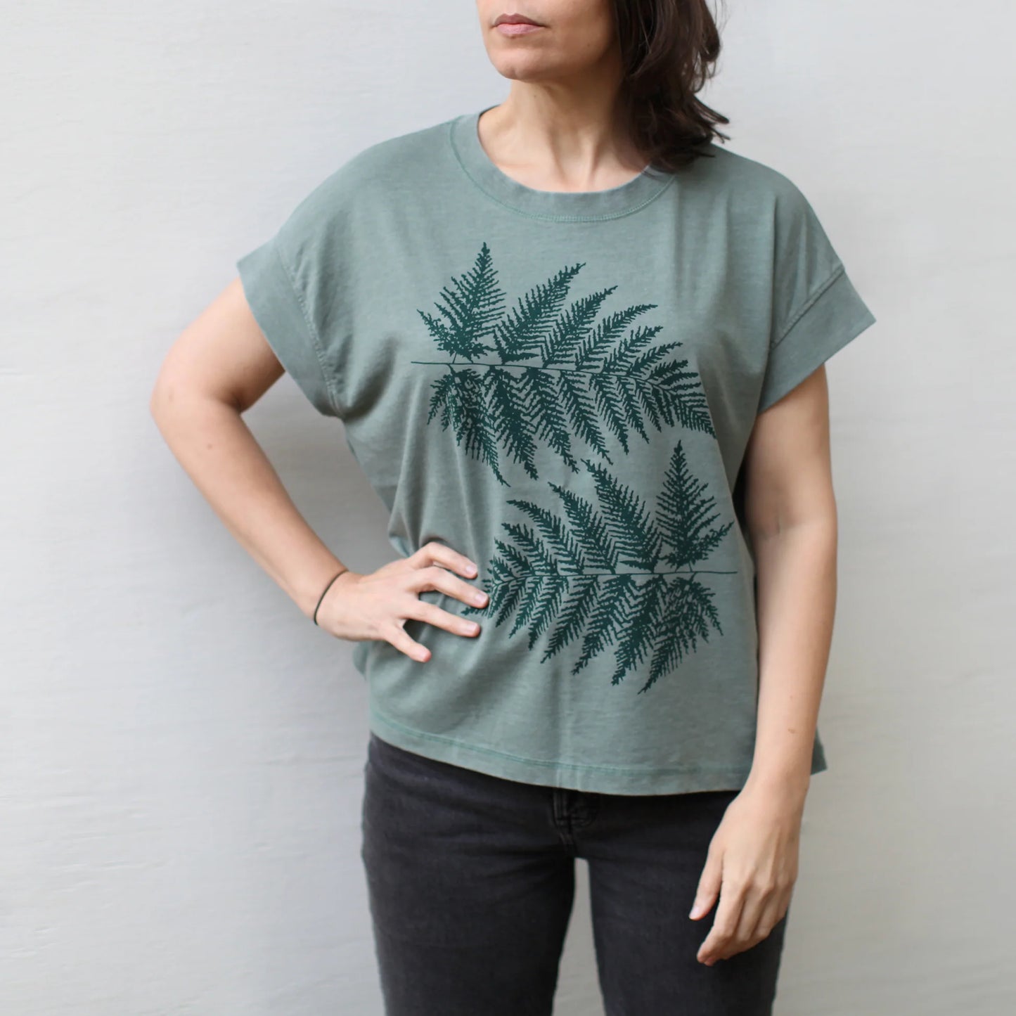 Ferns
