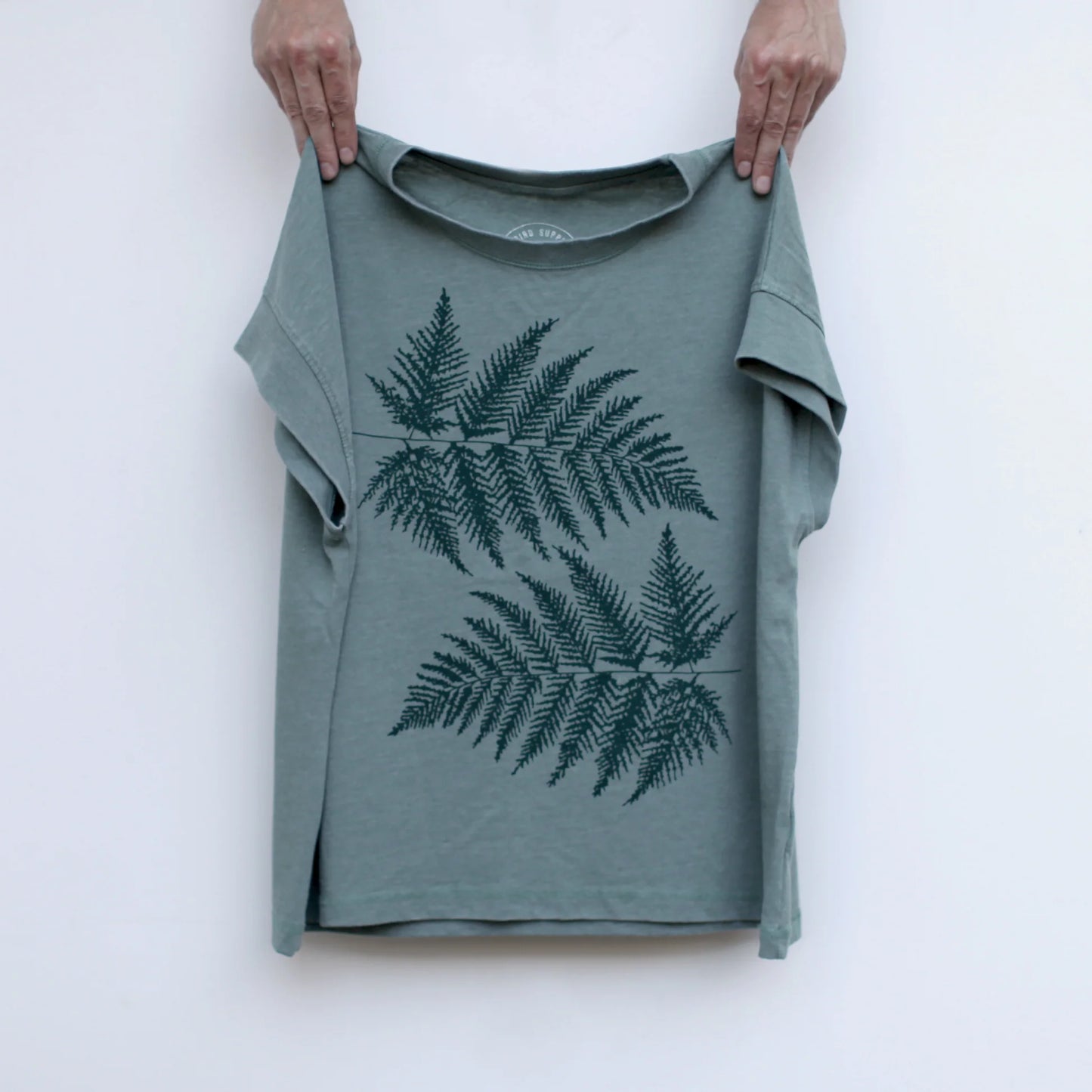 Ferns