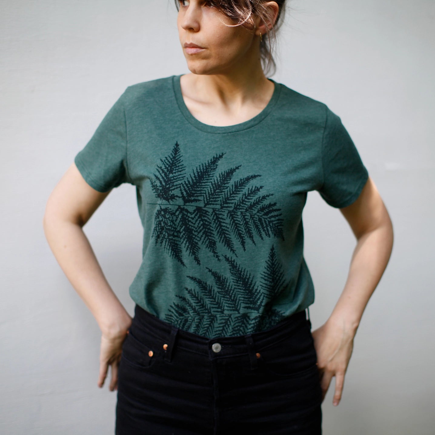 Ferns