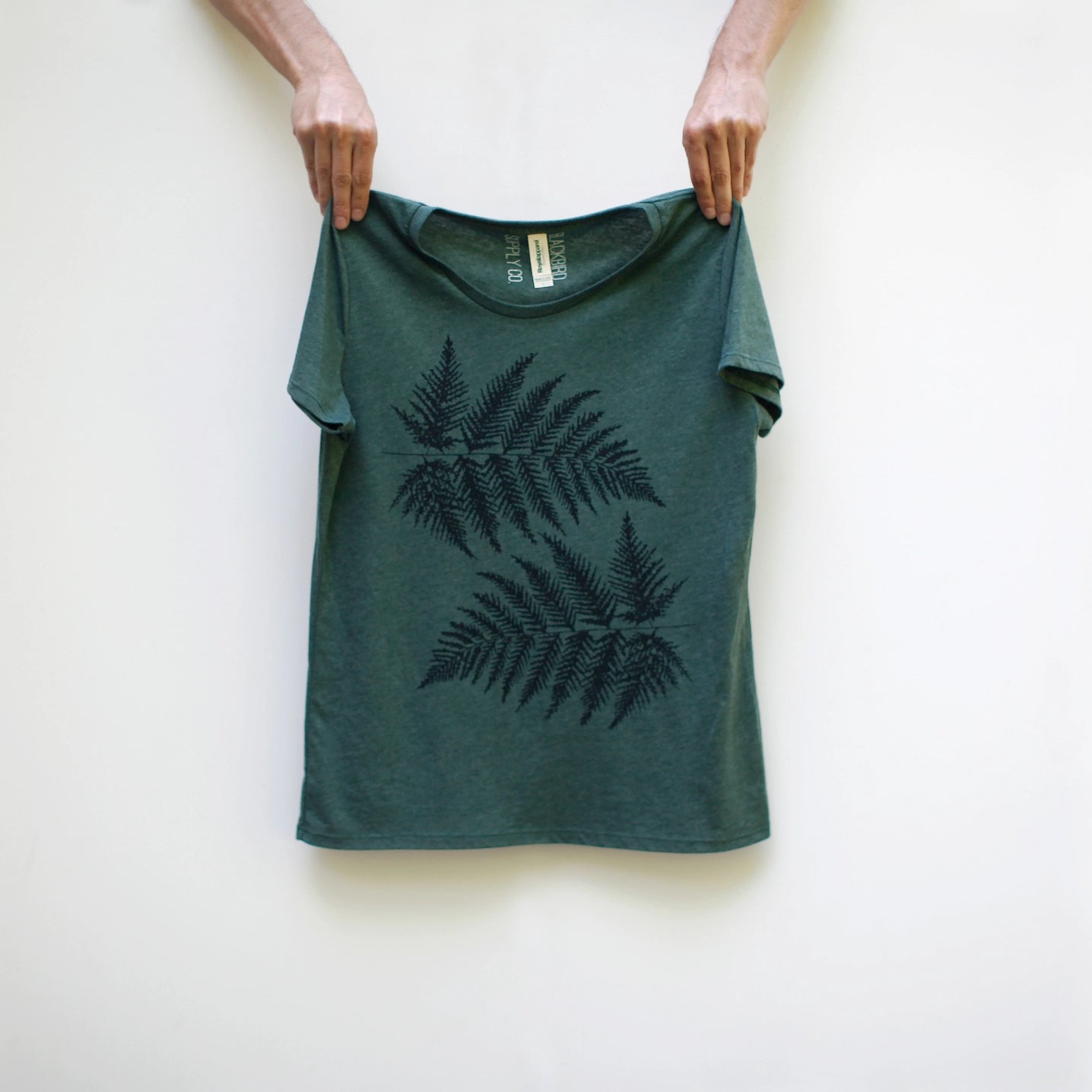 Ferns