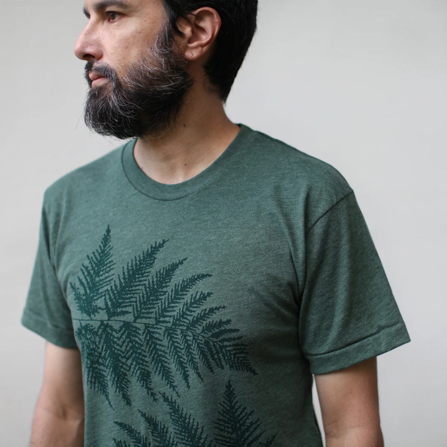 Ferns