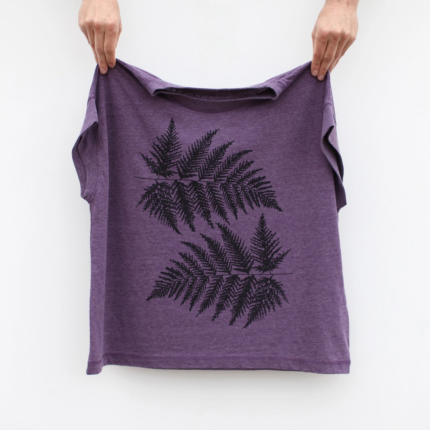 Ferns