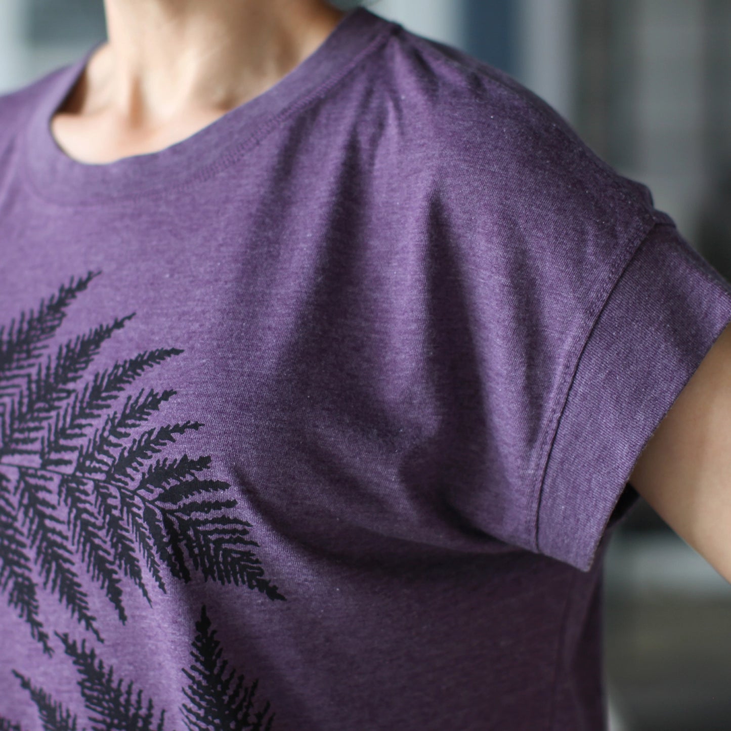 Ferns