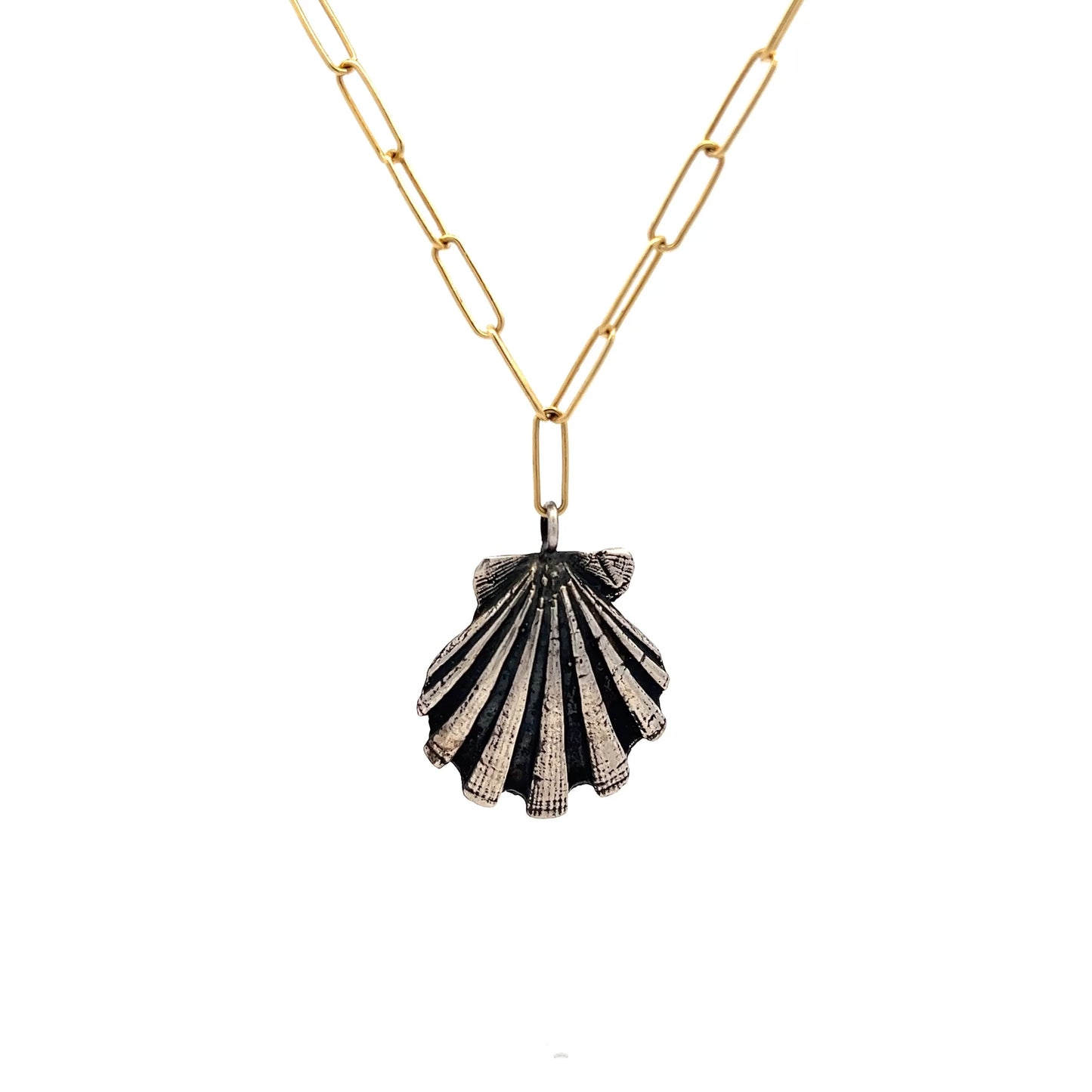Pecten Shell Necklace