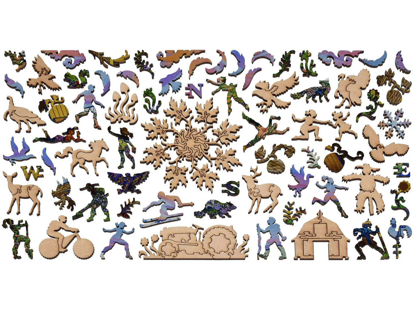 Changing Light Changing Seasons