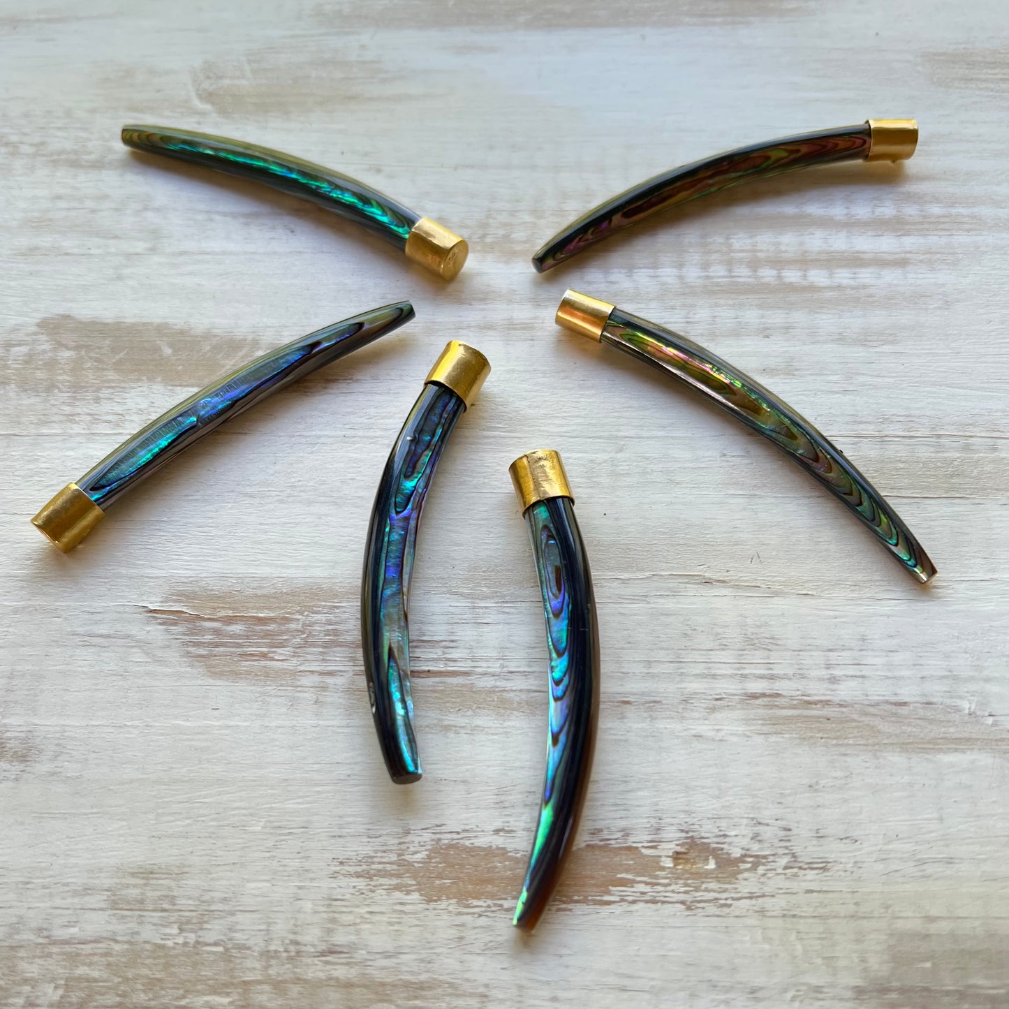 Abalone Tusks