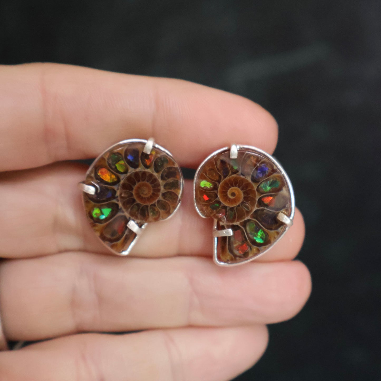 Ammonite Studs