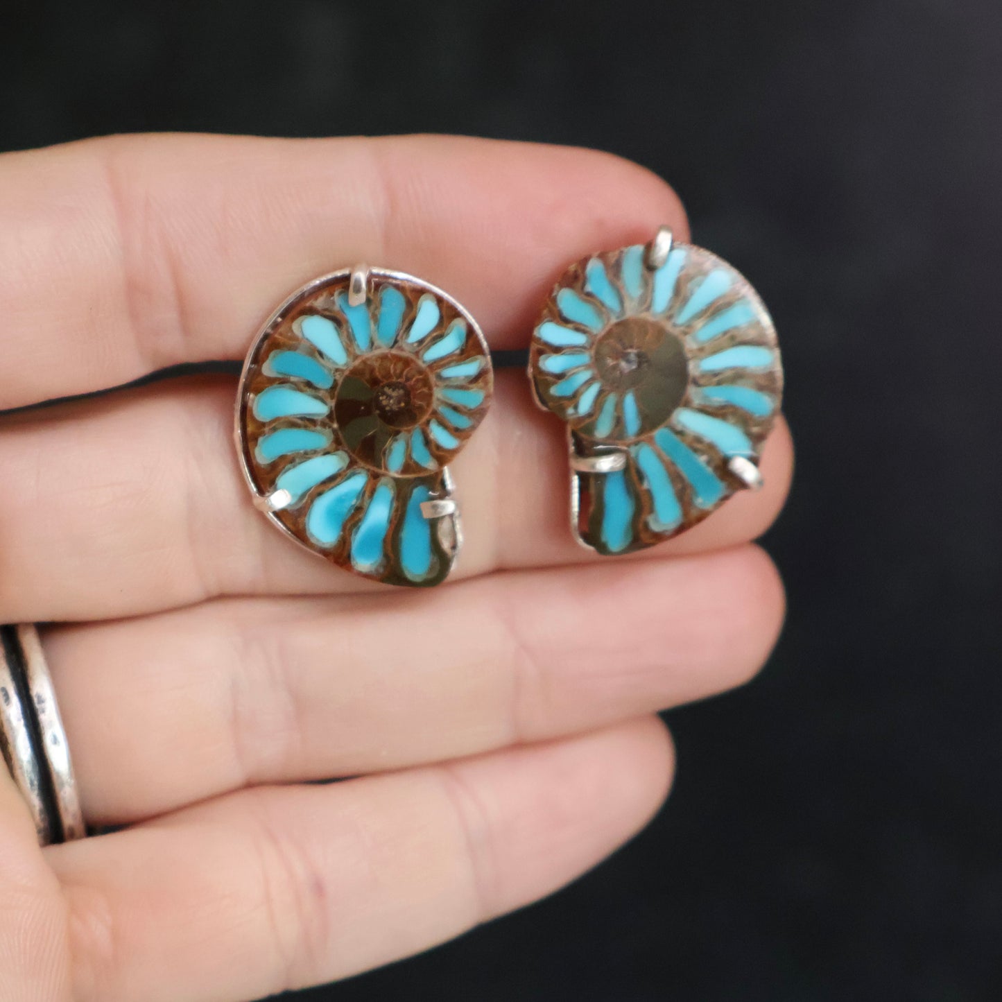 Ammonite Studs