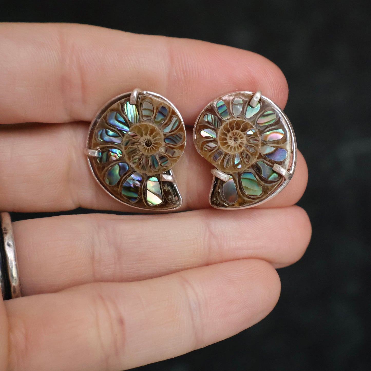 Ammonite Studs