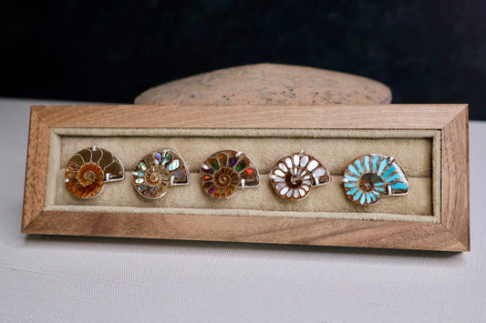Ammonite Studs