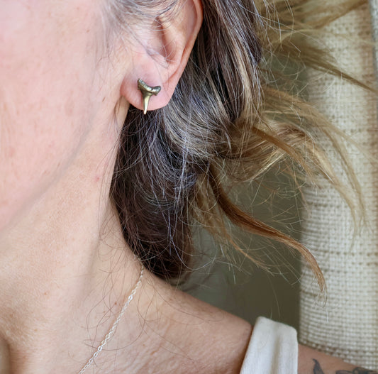 Baby Shark Tooth Studs