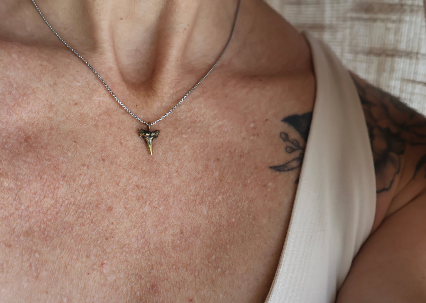 Baby Shark Tooth Necklace