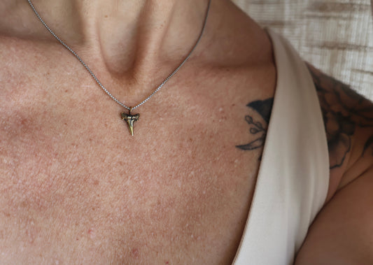 Baby Shark Tooth Necklace