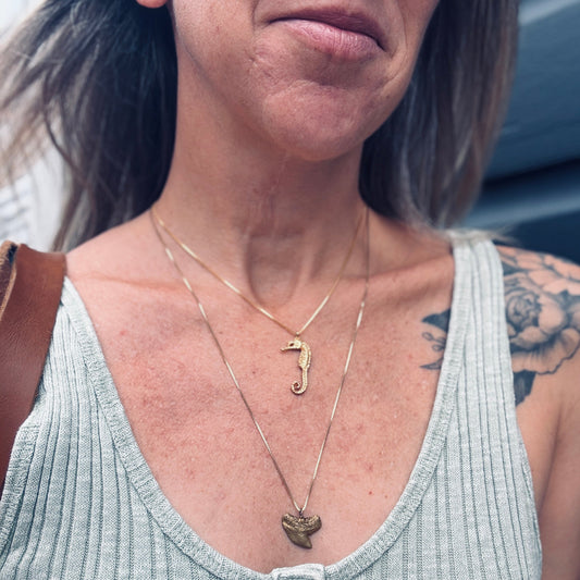 Shark Tooth Necklace