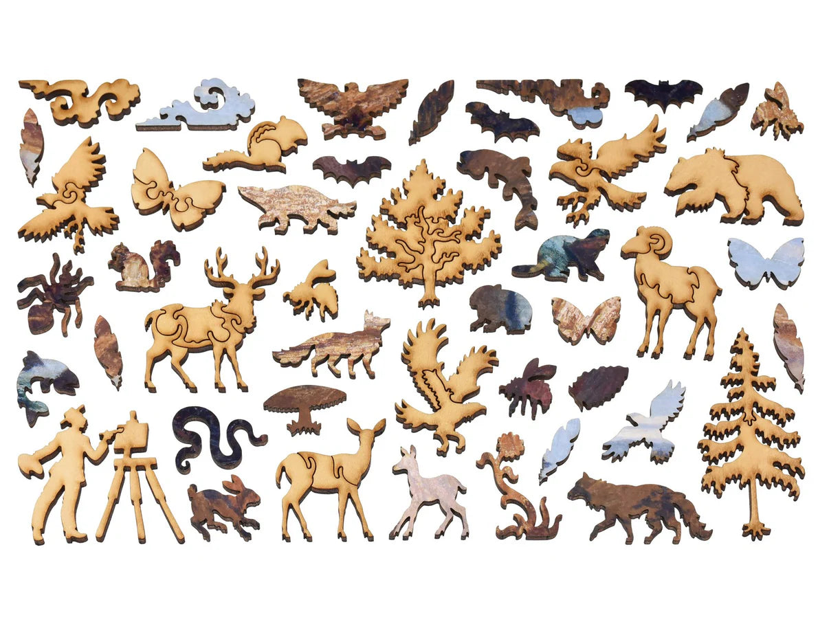 Lower Falls Grand Canyon of the Yellowstone