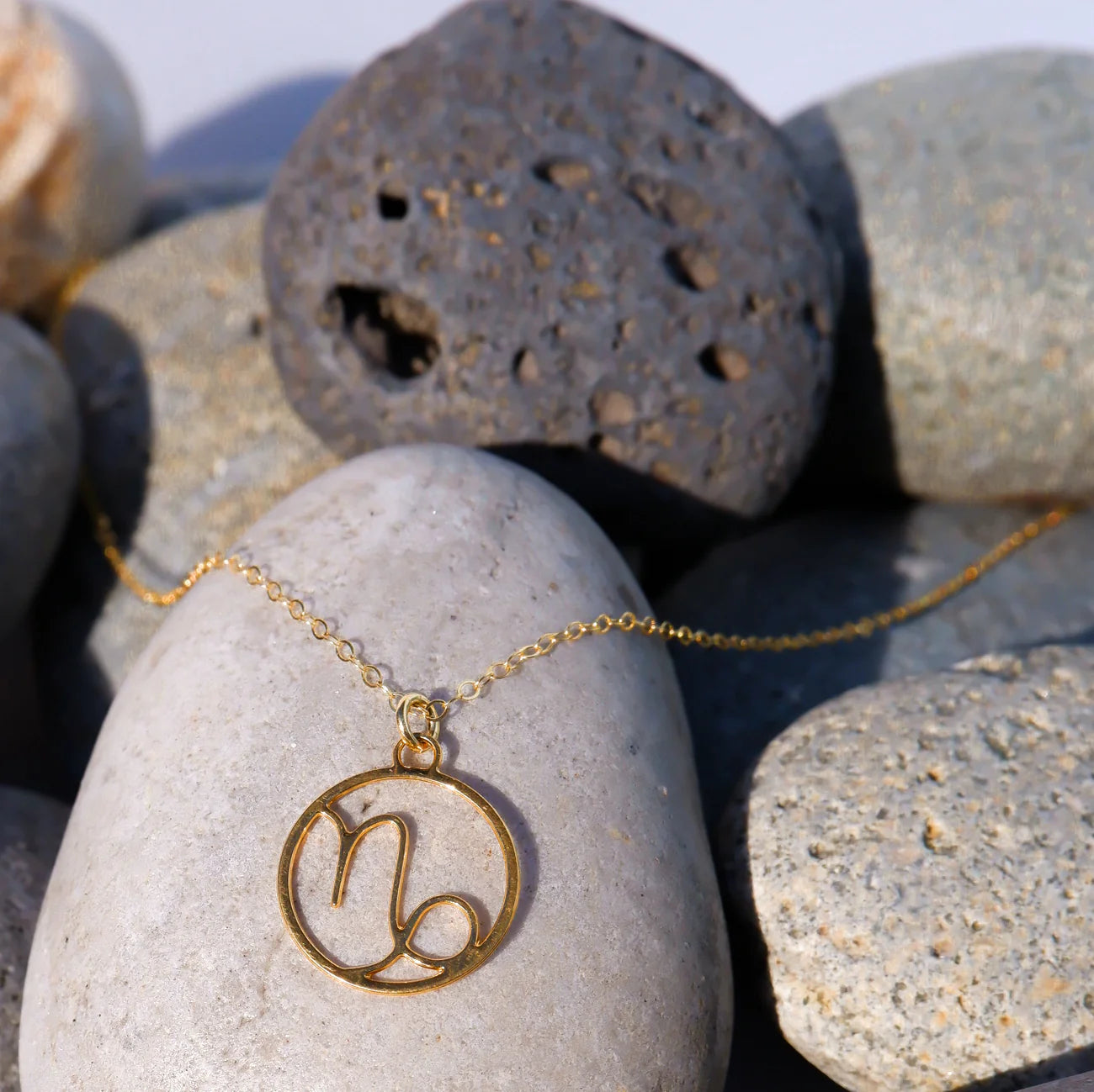 Zodiac Sign Necklace