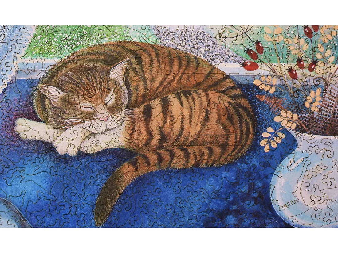 Cosy Cat