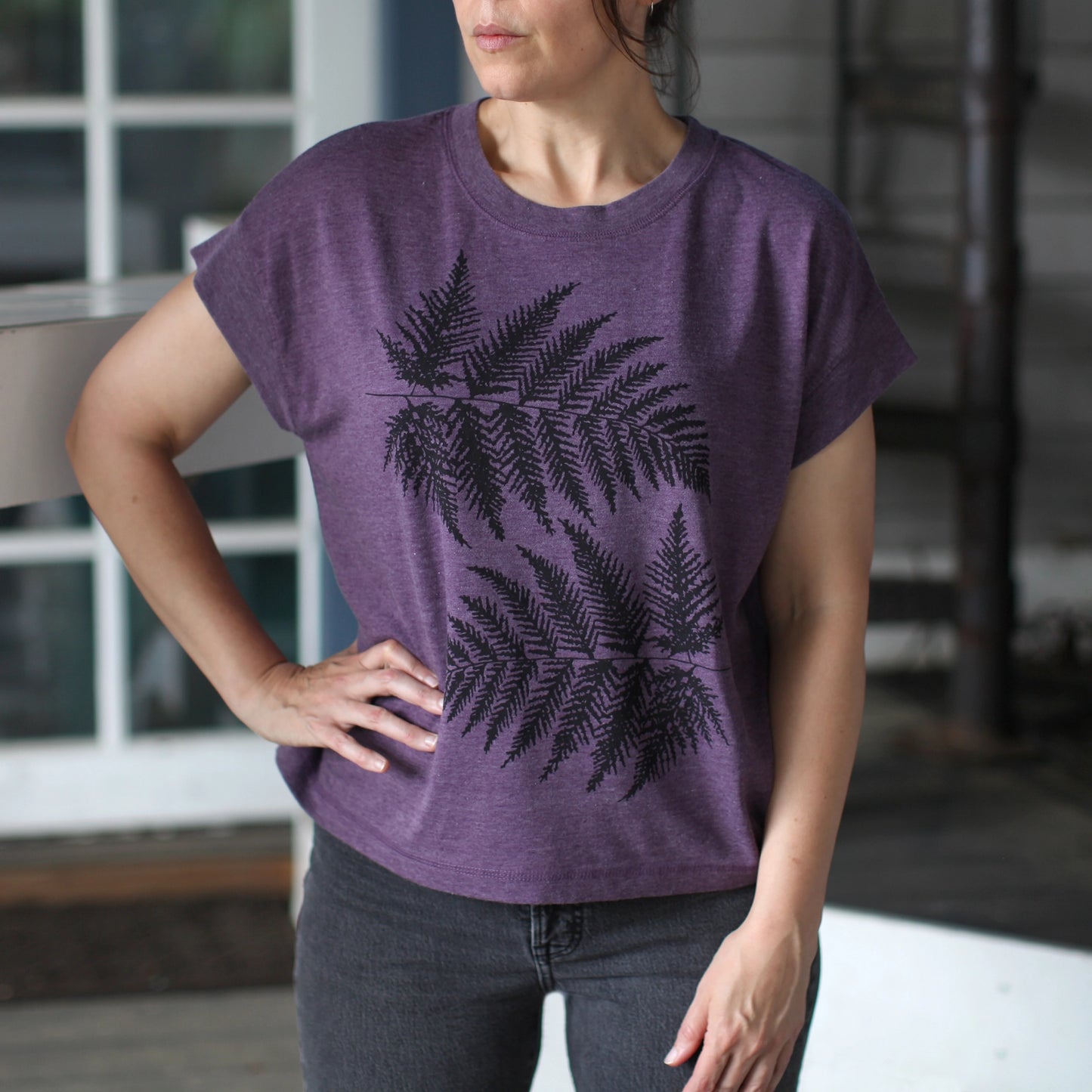 Ferns